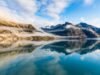 Glaciar Hubbard vs. Glacier Bay: ¿Cuál es la mejor zona de crucero panorámico en Alaska?
