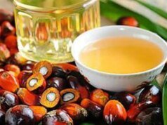 Las importaciones de aceite de palma de la India alcanzaron su nivel más bajo en cinco años mientras las compras de aceite de soja alcanzan un nivel récord