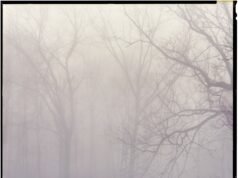 El último espectáculo callejero de Standard Space, “Campo de serpientes”, – SUPERFICIE