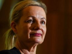 “El triunfo de la esperanza sobre la realidad” Abandonar el cero neto significa abandonar la oportunidad del gobierno.