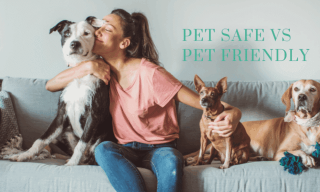 PET-SAFE-VS-PET-FRIENDLY-1-1000x600.png