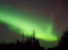 San Francisco – Fairbanks, Alaska (y viceversa). $285 (Economía Básica) / $367 (Economía Regular). Ida y vuelta, impuestos incluidos – oferta de vuelo