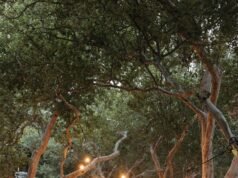 4 rituales de cena para añadir un toque de conexión a tus veladas