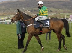 Cómo ver la reunión de noviembre de Cheltenham de 2025 *GRATIS*