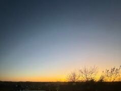 Última semana en clase económica y más allá (22/23 de noviembre)