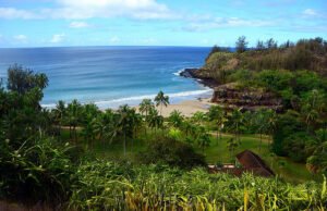 San Francisco – Kauai, Hawaii (y viceversa). $219 (Economía Básica) / $319 (Economía Regular). Ida y vuelta, impuestos incluidos – oferta de vuelo
