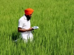 El fondo Mirova, respaldado por Kering, invierte 30,5 millones de dólares en Varaha de la India para la agricultura regenerativa