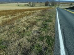 Los futuros centros de datos están elevando las previsiones de demanda de energía. Los estados quieren pruebas de que se construirán