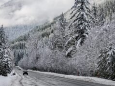 Esperamos un número récord de viajes de vacaciones en Estados Unidos este año