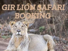 Viaje al templo Kankai