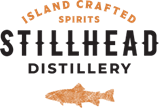 Stillhead-1.png