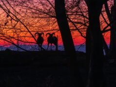 El mayor proyecto de reconstrucción en Francia