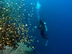 Filipinas logra importantes oportunidades de ventas en la Underwater Diving Expo 2026