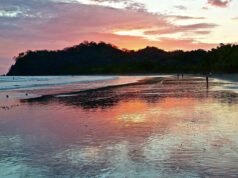 Los Ángeles – Liberia, Costa Rica. $323 (Economía Básica) / $453 (Economía Regular). Ida y vuelta, impuestos incluidos – oferta de vuelo