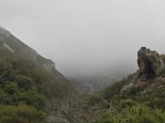 Reserva Natural Fernkloof en Hermanus, Sudáfrica