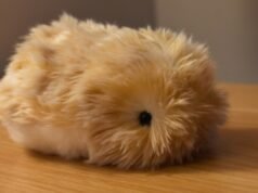 Moflin, la mascota IA de Casio, perseguirá mis sueños