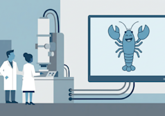 NanoClaw resuelve uno de los mayores problemas de seguridad de OpenClaw y ya está impulsando el negocio del creador.