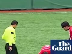 Cómo la RCP en una gaviota ayudó a restaurar la buena moral en el fútbol turco | Fútbol americano