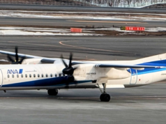 ANA Mileage Club ahora ofrece la opción de cancelar con 3000 JPY en efectivo en lugar de 3000 millas