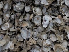 Hyatt Centric Key West Resort & Spa lanza el programa de reciclaje Shell