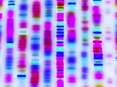 Copa Hemis de Element Biosciences: Boletín de lecturas