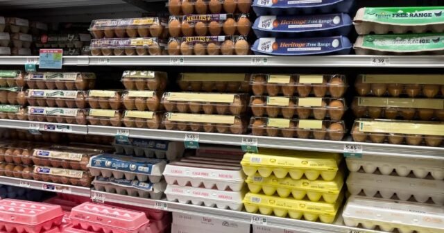 Eggs_on_shelves_at_a_grocery_store.webp.jpeg