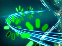 Un nuevo método puede aumentar la eficiencia de la formación LLM | Noticias del MIT