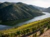 Qué puede hacer Portugal por el comercio del vino del Reino Unido