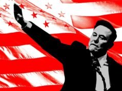 Georgia dice que el PAC estadounidense de Elon Musk violó la ley electoral