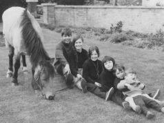 ¿Dónde estás en orden de nacimiento?