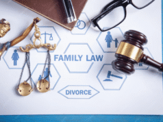 Litigio Civil vs. Derecho de Familia: ¿Cuál es la diferencia y a quién necesita?