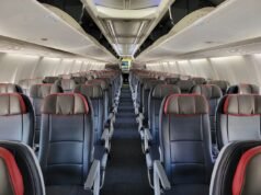 “¡Tengo sangre de Trump!” Un pasajero de American Airlines se arrastra por el pasillo gritando sobre Elon Musk y pidiendo un refresco