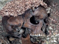 Un adolescente condenado a muerte apodado “El Príncipe” fue asesinado a golpes por un oso hace 27.500 años y enterrado en una tumba “lujosa”