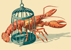 Google toma medidas enérgicas contra el ‘uso malicioso’ de Antigravity, aislando a los usuarios de OpenClaw en una amplia medida de aplicación de ToS