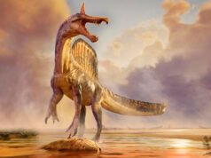 Aterrador Spinosaurus tildado de ‘dinosaurio del infierno’ con ‘cabeza en forma de espada’ encontrado en el desierto después de 95 millones de años