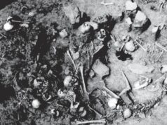Inquietante fosa común de 2.800 años de antigüedad donde decenas de mujeres y niños fueron brutalmente asesinados a golpes sorprende a los científicos