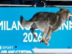 Juegos Olímpicos de Invierno 2026: inyecciones en el pene, trampas entre biatletas y rulos: historias que no esperábamos contar