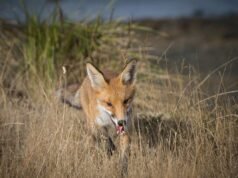 Sesgo de conservación