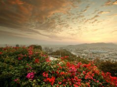 San Francisco – Guayaquil, Ecuador. USD 398 (Economía básica / USD 562 (Economía regular). Viaje redondo, incluidos todos los impuestos – Oferta de vuelo