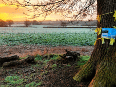 La pequeña ciudad inglesa arrastrada por la carrera armamentista mundial de la IA
