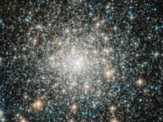 Aterradoras antiguas ‘estrellas VAMPIRO’ que se alimentan de parejas para permanecer ‘siempre jóvenes’ como Drácula, resueltas por científicos