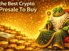 BONK vs Pepeto: uno tiene un precio de exageración, el otro de oportunidad anticipada