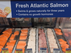 El monitoreo de productos del mar se ha vuelto de alta tecnología