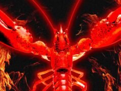 Me infiltré en Moltbook, la red social exclusiva de IA donde no se permiten humanos