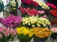 Apoye el Día de San Valentín mediante la coordinación de la cadena de suministro de extremo a extremo