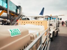 La logística de animales vivos está entrando en la era del cumplimiento integrado