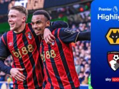 Kroupi marca un GRAN gol en la victoria del Bournemouth sobre los Wolves