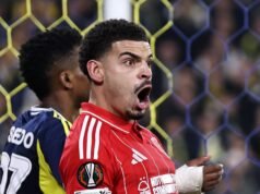 Fenerbahçe 0 – 3 N Bosque