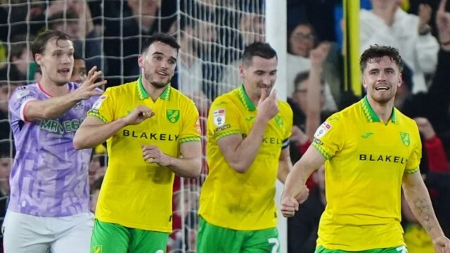 skysports-norwich-city_7175138.jpg