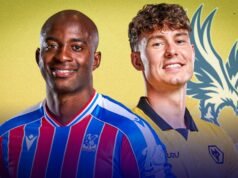 Noticias de transferencia de Jorgen Strand Larsen: Palace acuerda un acuerdo de £ 48 millones pero duda del acuerdo con Jean-Phillipe Mateta | noticias de futbol